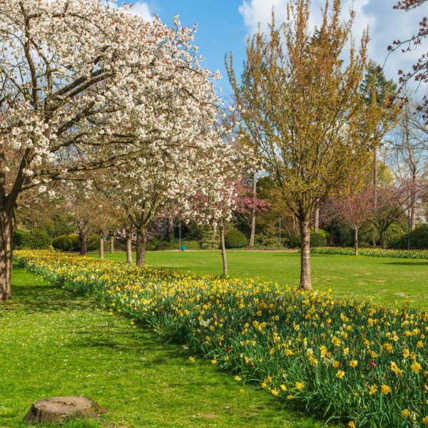 Verlinden Landscapes grounds maintenance experts